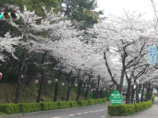 2009-04-05 10:39:08