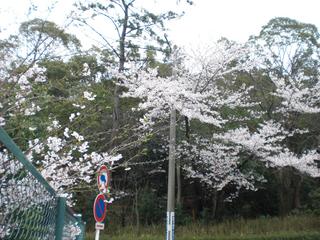 2009-04-05 10:39:41