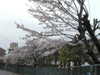 2009-04-05 10:40:08