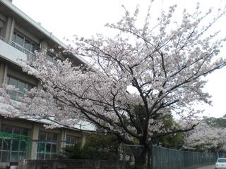 2009-04-05 10:41:43