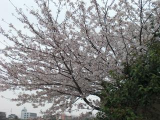 2009-04-05 10:42:38