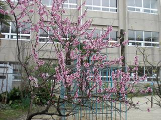 2009-04-05 10:43:32