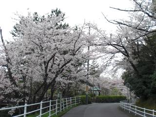 2009-04-05 10:44:48