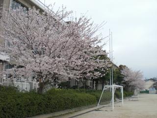 2009-04-05 10:46:01