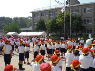 2009-05-22 09:01:29