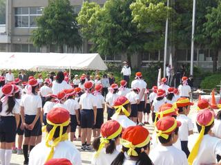 2009-05-22 09:03:28