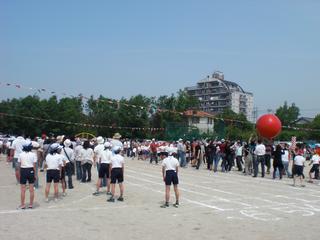 2009-05-22 09:49:38