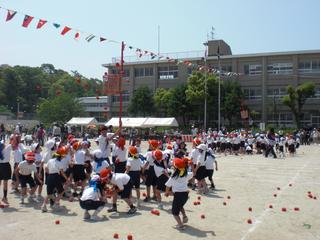 2009-05-22 10:16:47