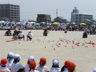 2009-05-22 10:18:36