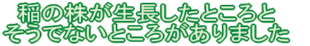 ̊Ƃ łȂƂƂ܂