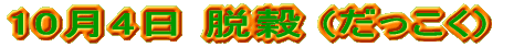 E () 